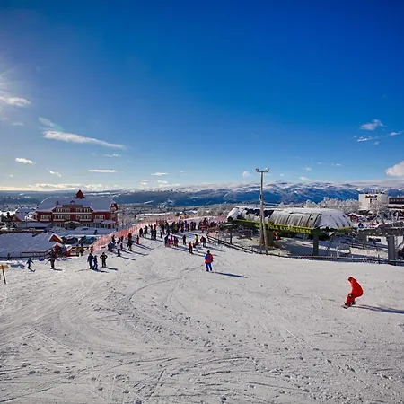 A Family-friendly, Pet-friendly Getaway In Center Leilighet *