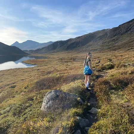 شقة A Family-friendly, Pet-friendly Getaway In Center Beitostolen