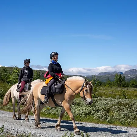 A Family-friendly, Pet-friendly Getaway In Center شقة Beitostolen